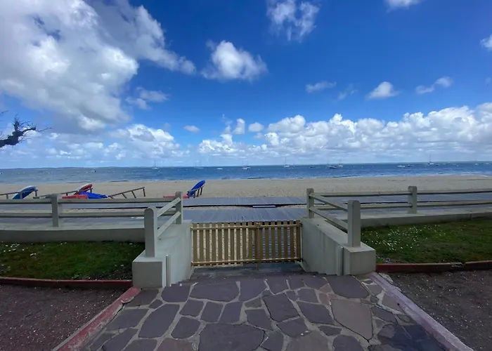 T3 Renove Face Avec Terrasse Et Parking Securise - - Fr-1-374-224 Apartment Arcachon